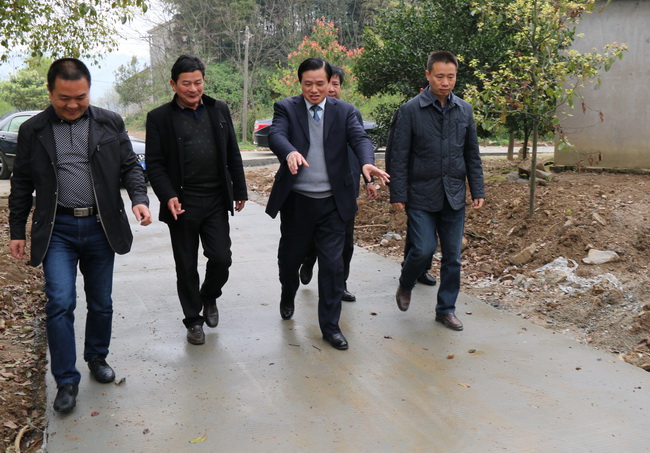 看路1.JPG
